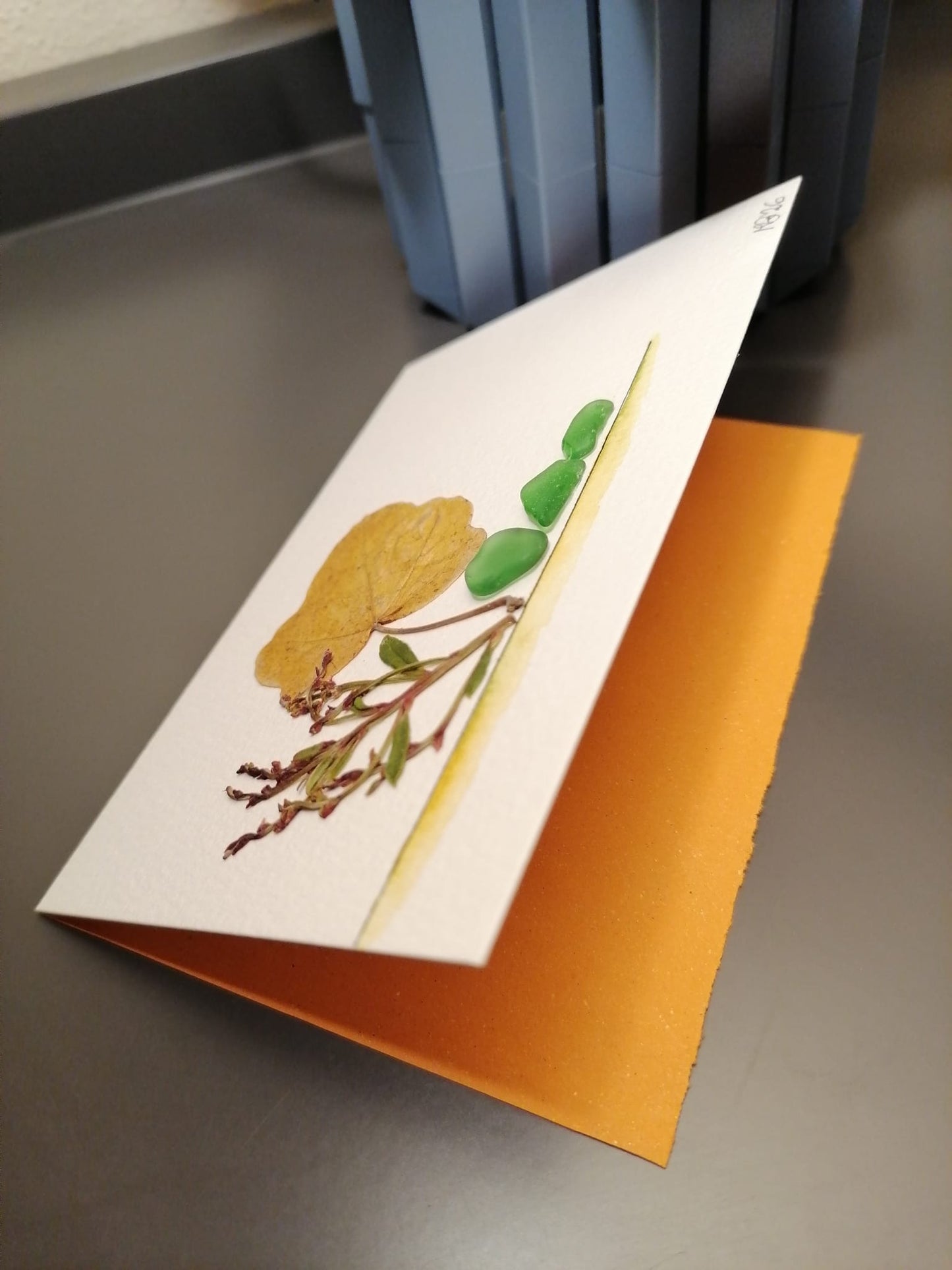 Fiori, foglie e vetro