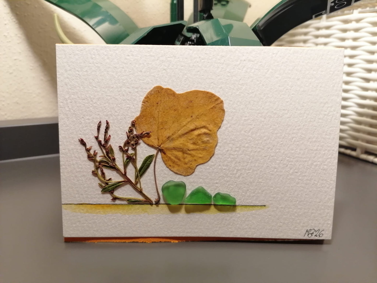 Fiori, foglie e vetro